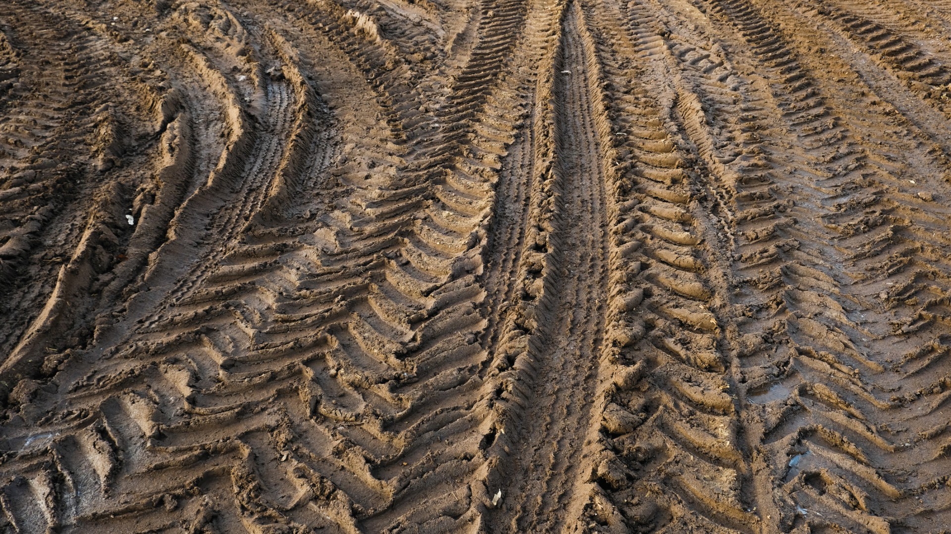 Tractor tracks in dirt