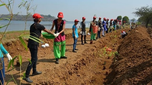 Cummins India employees work on a community engagement project