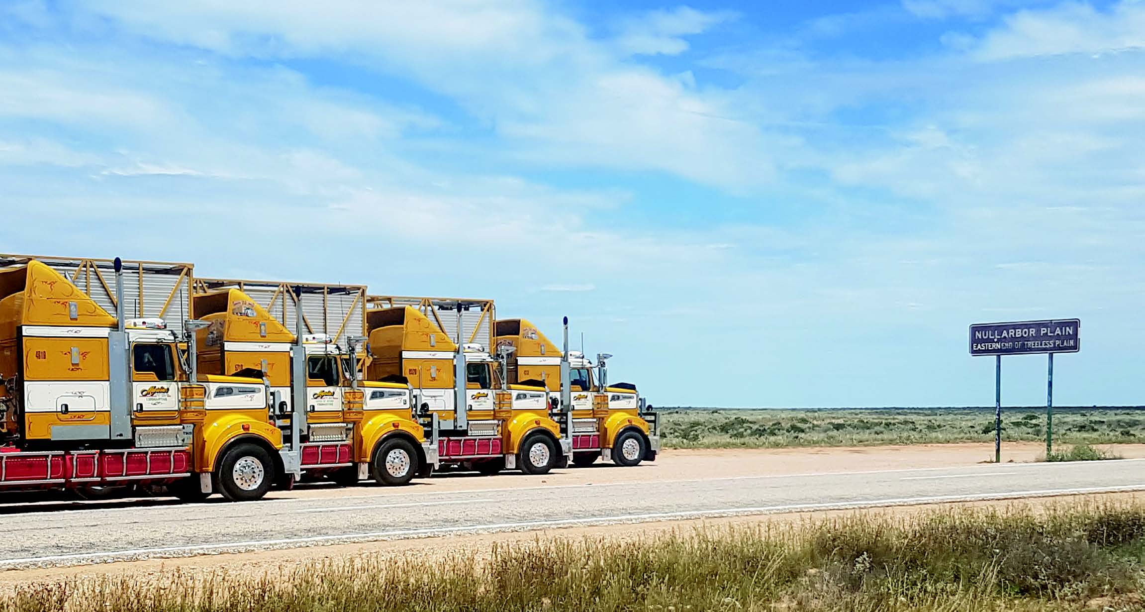 Martins Stock Haulage