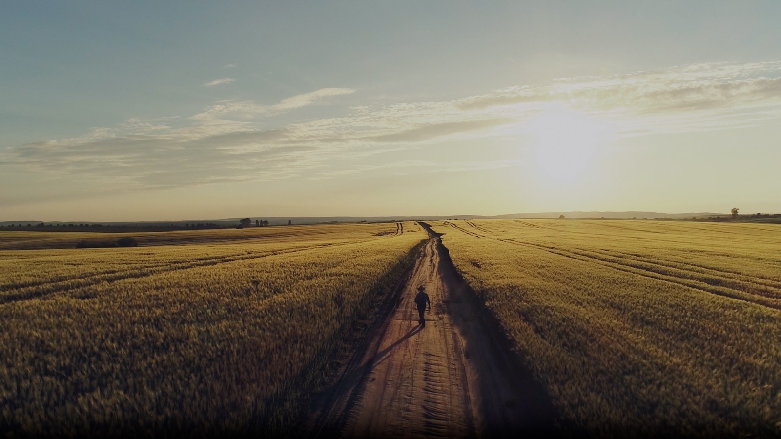 Cummins-Mission-Film-Web-Banner-Image-Farmer-Field