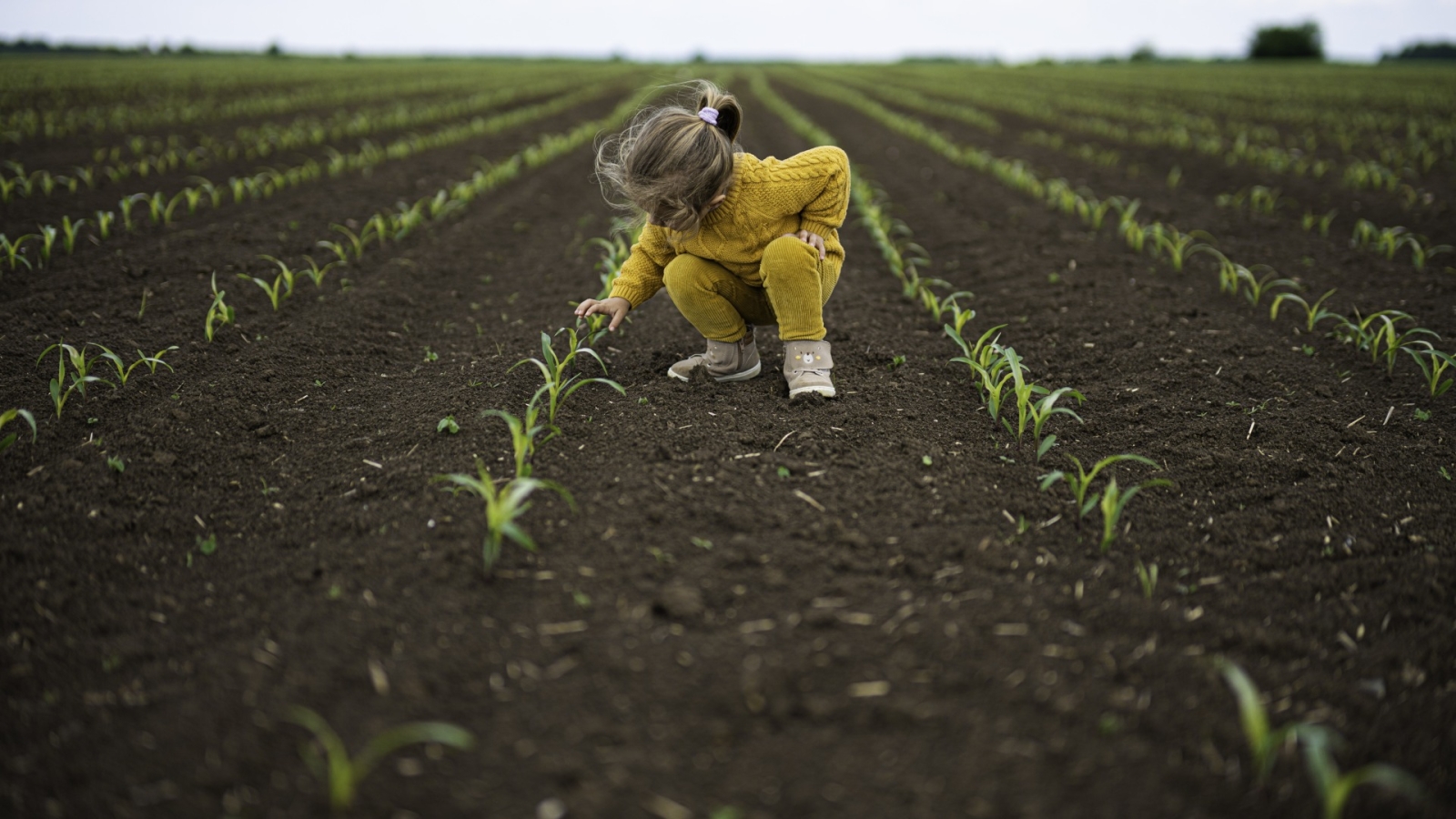 young girl in field
