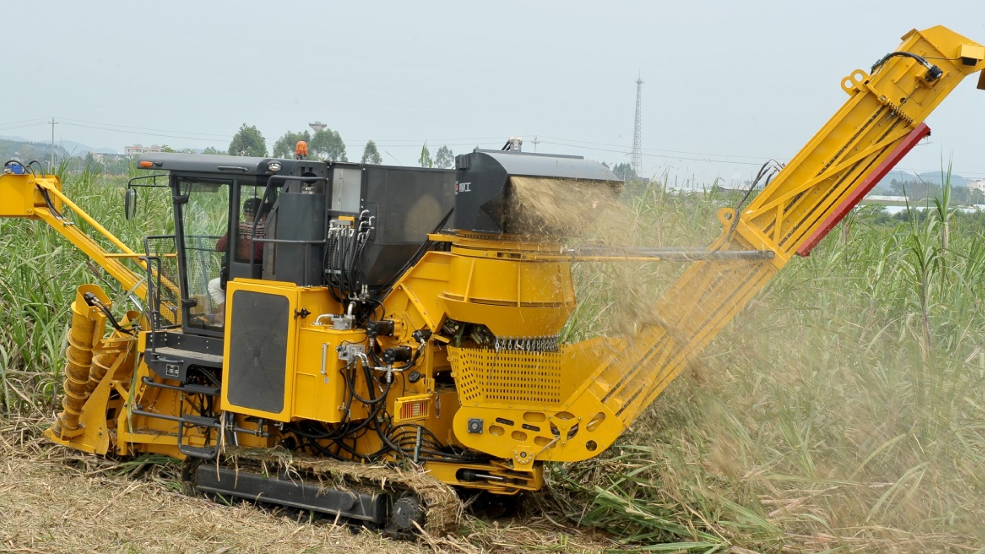 liugong sugarcane harvester