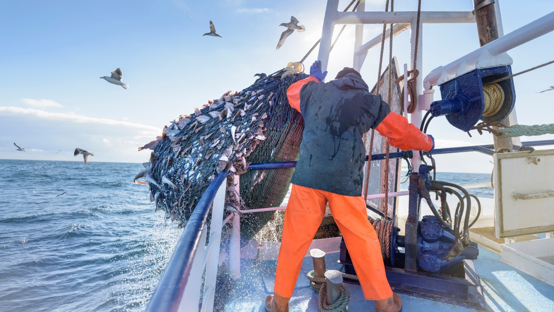 Fisherman using a net to fish on a ship
