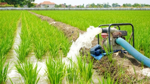 irrigation water pump