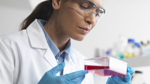 lab researcher looking at specimen