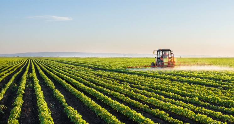 combine harvesting food in field