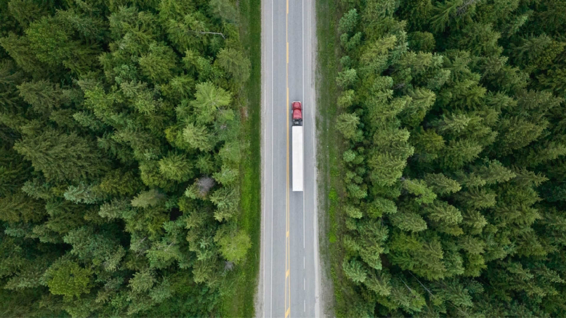 semi truck driving through forest