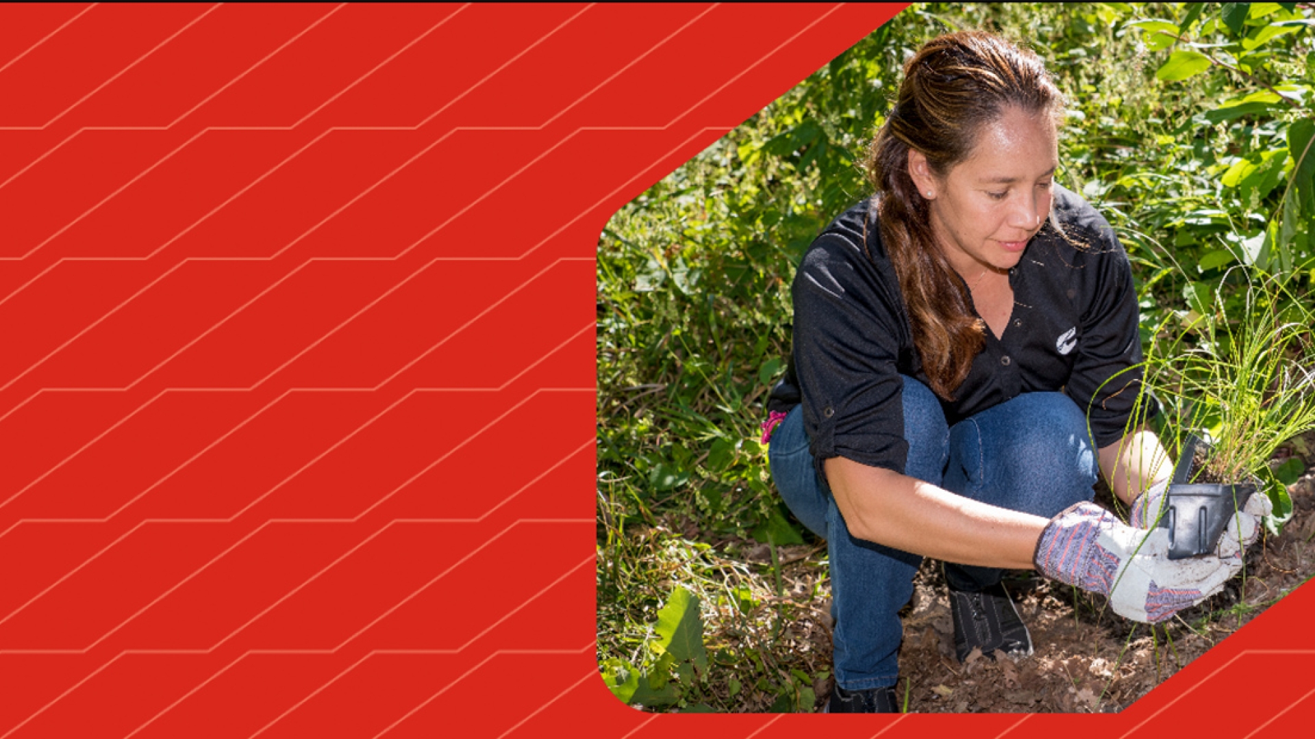 Employee at volunteer event