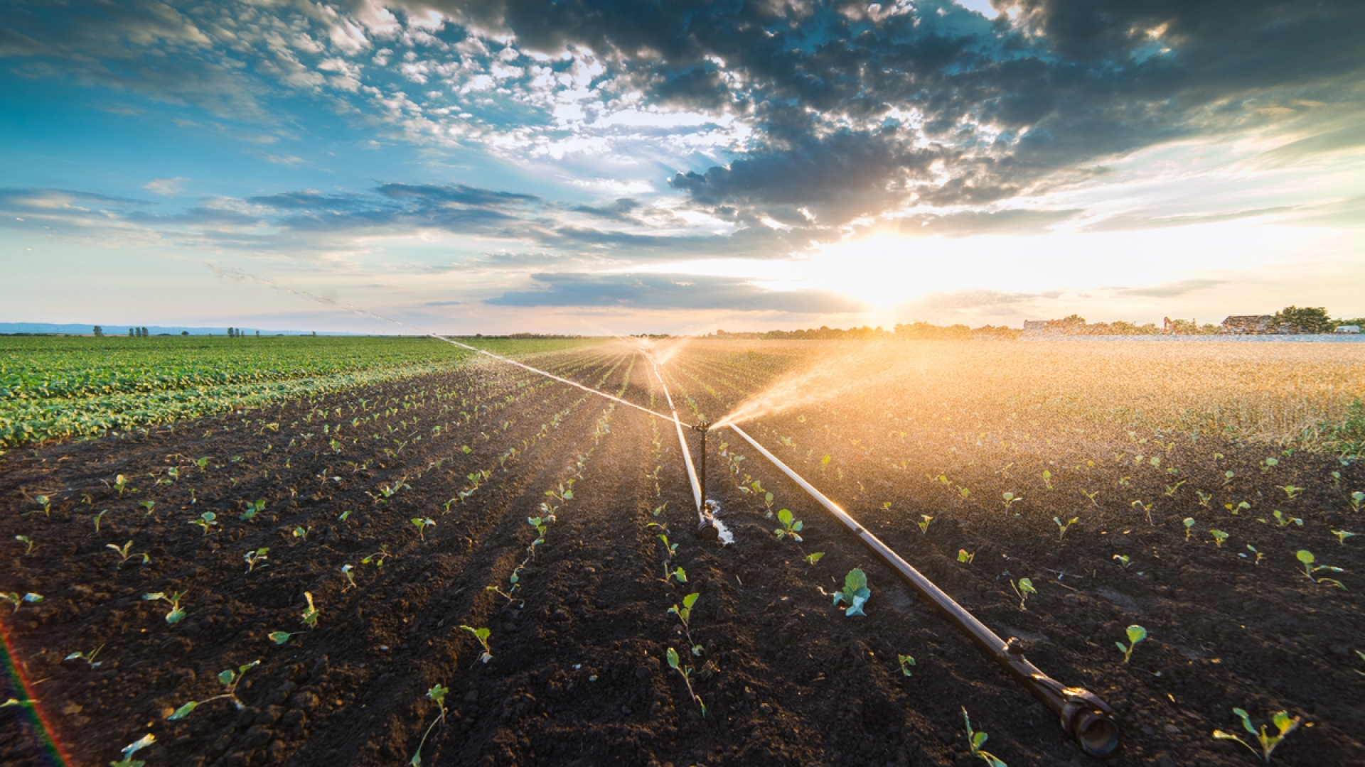 Biodiesel and the X15:  Low-carbon power for 2027 and beyond