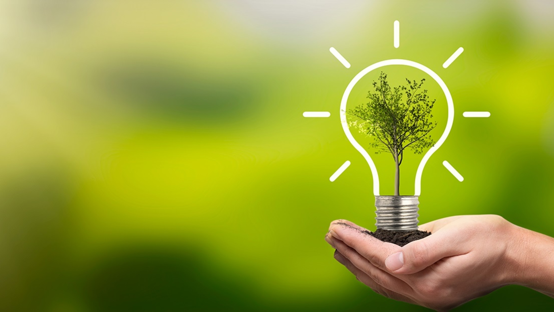 A pair of cupped hands holds a mound of soil, out of which grows a small plant. An outline of a light bulb is drawn around the plant.