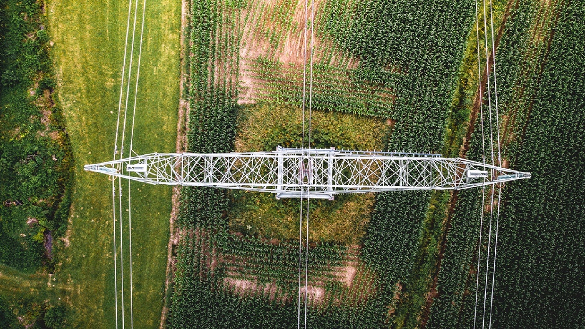 Power line from above