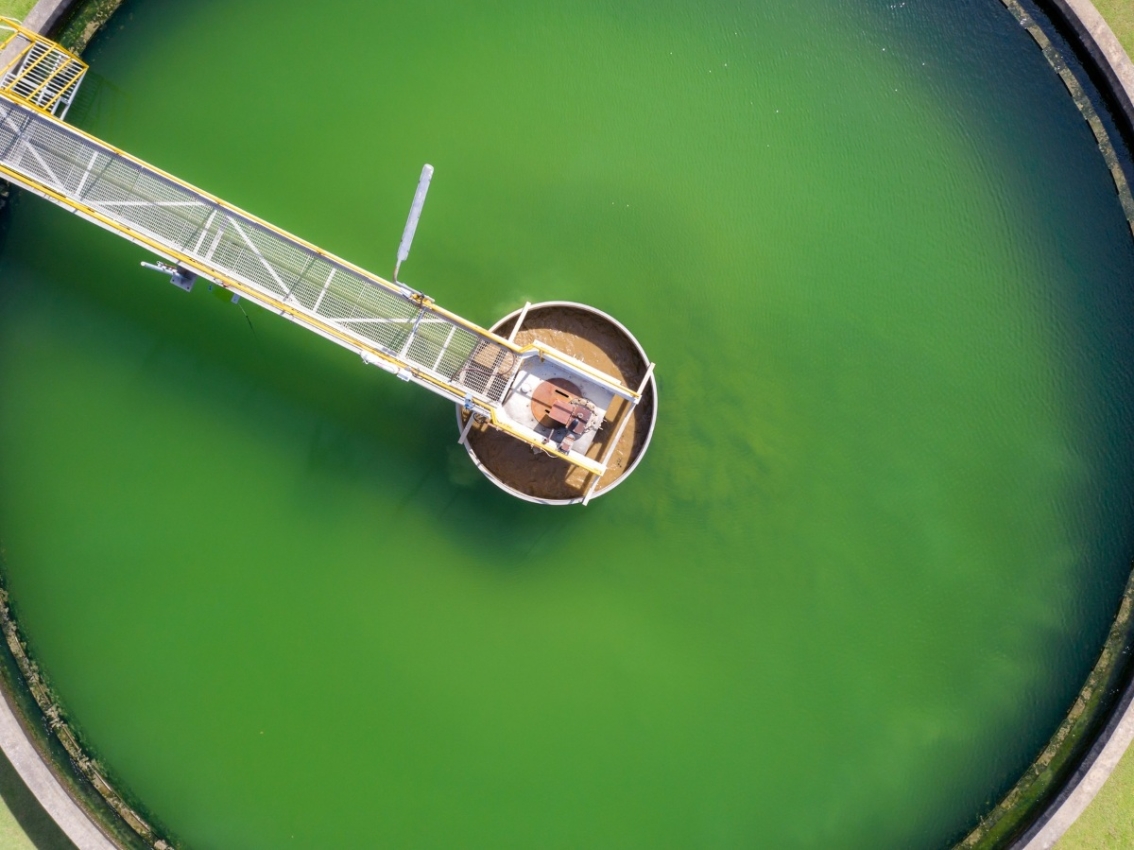 green water in wastewater holding tank